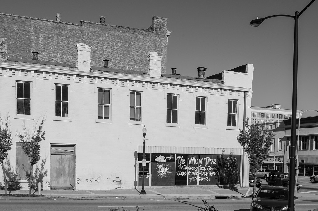 The Willow Tree The Willow Tree located in Macon, jwcjr Flickr