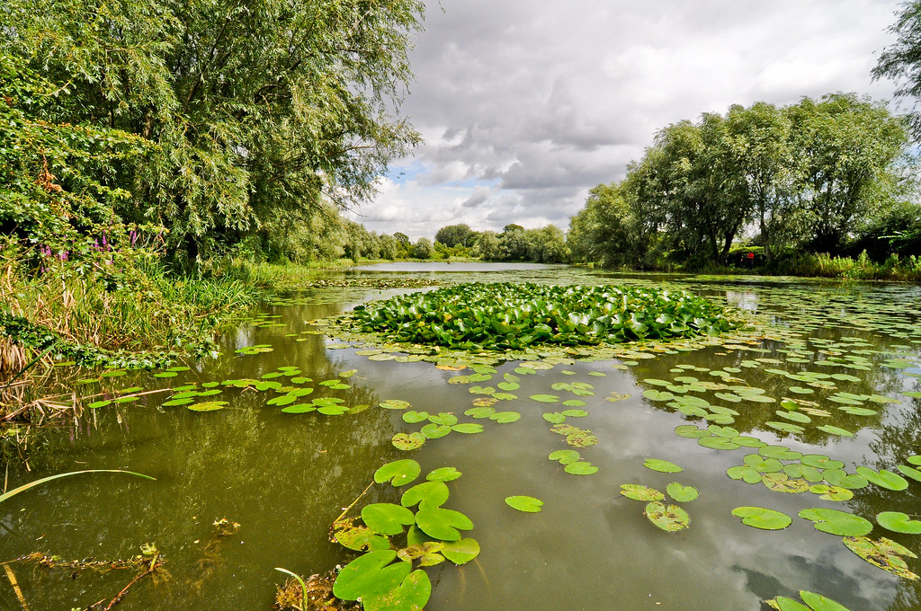Barnwell Lake CamMonkeh Flickr