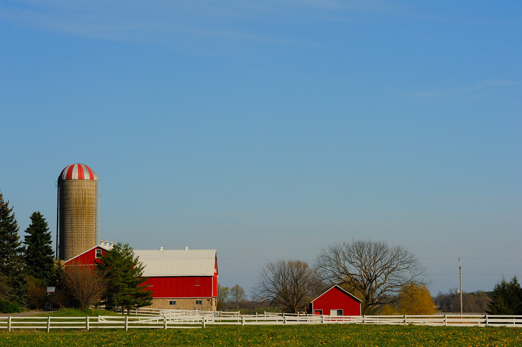 Morriston Ontario Canada at Alvin Barajas blog