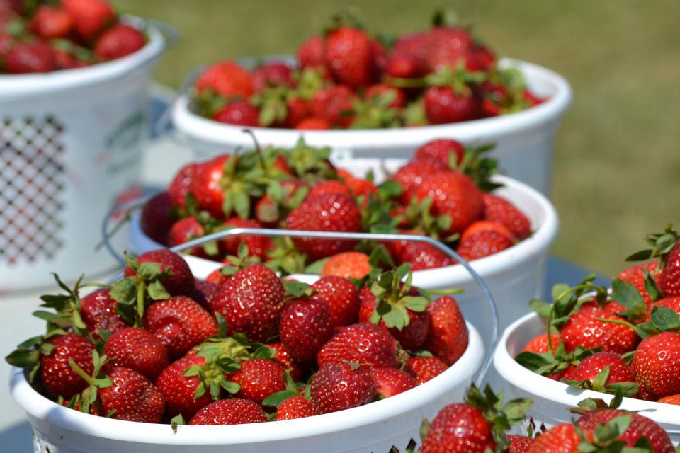 Market at Ag Heritage Park The Market at Ag Heritage Park,… Flickr