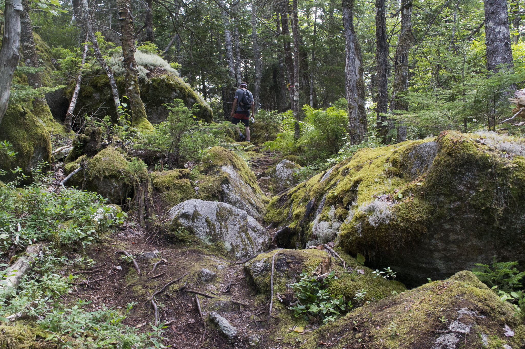 Photos The Musquodoboit Trailway, Nova Scotia