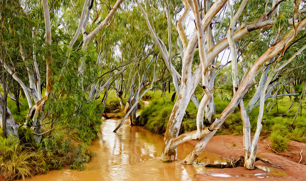 impressions of back creek (Accepted Australian Digital Pho… Flickr