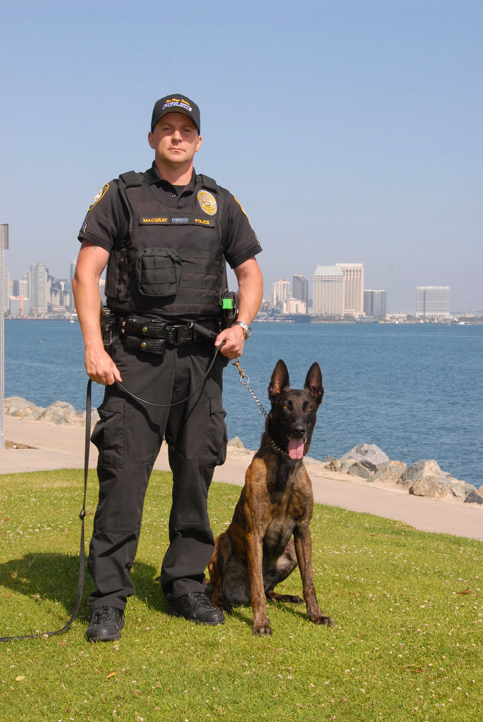 The Harbor Police K9 Team Cpl. Del MacGray and explosive … Flickr
