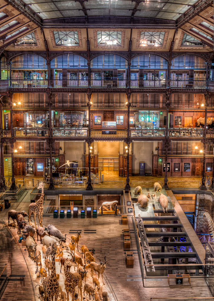 The Natural History Museum Paris One of the coolest museum… Flickr