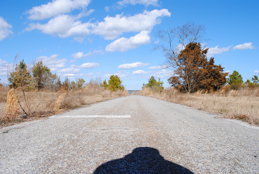 Holts Landing State Park Road in the park. Lee Cannon Flickr