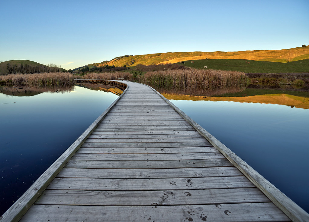 Leading Boardwalk over the Pekapeka Wetland, near Hastings… Flickr