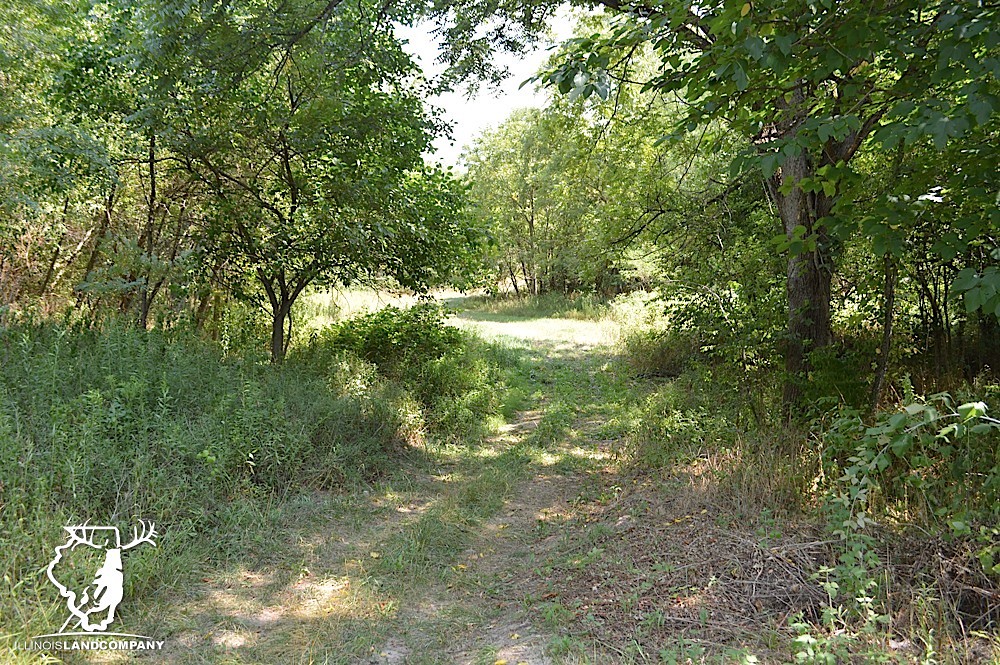 Illinois Land for Sale 40 Acres in Fulton County Flickr