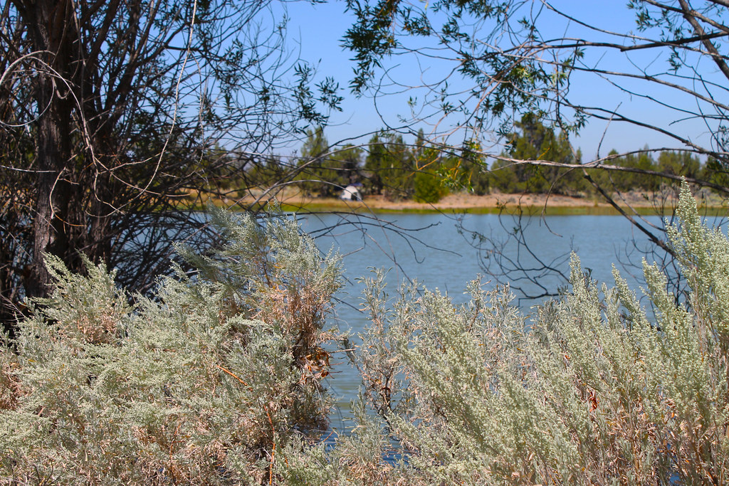 Reynolds Pond Recreation Area An oasis sits just east of B… Flickr