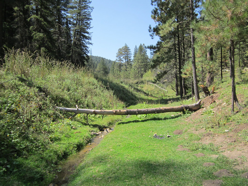 Lincoln National Forest Visit Carlsbad New Mexico