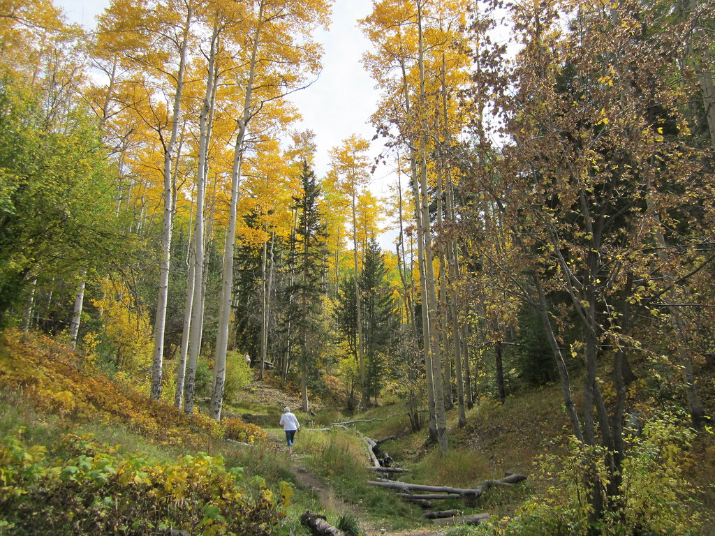 Santa Fe National Forest, New Mexico Hiking in Big Tesuque… Flickr