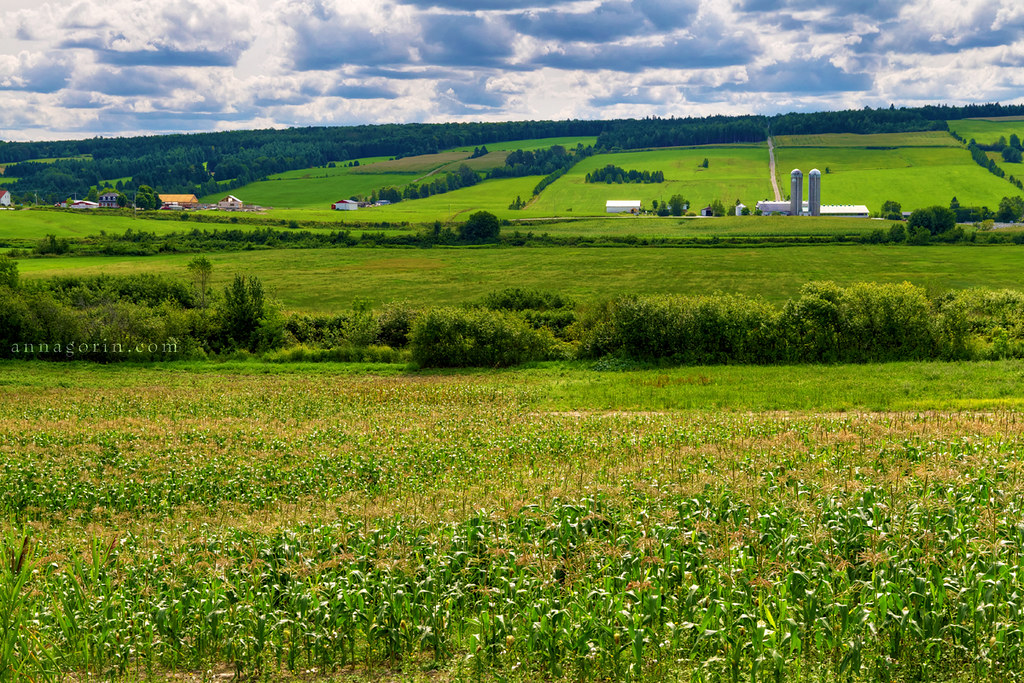 Farmland of southern Quebec Green rolling hills everywhere… Flickr