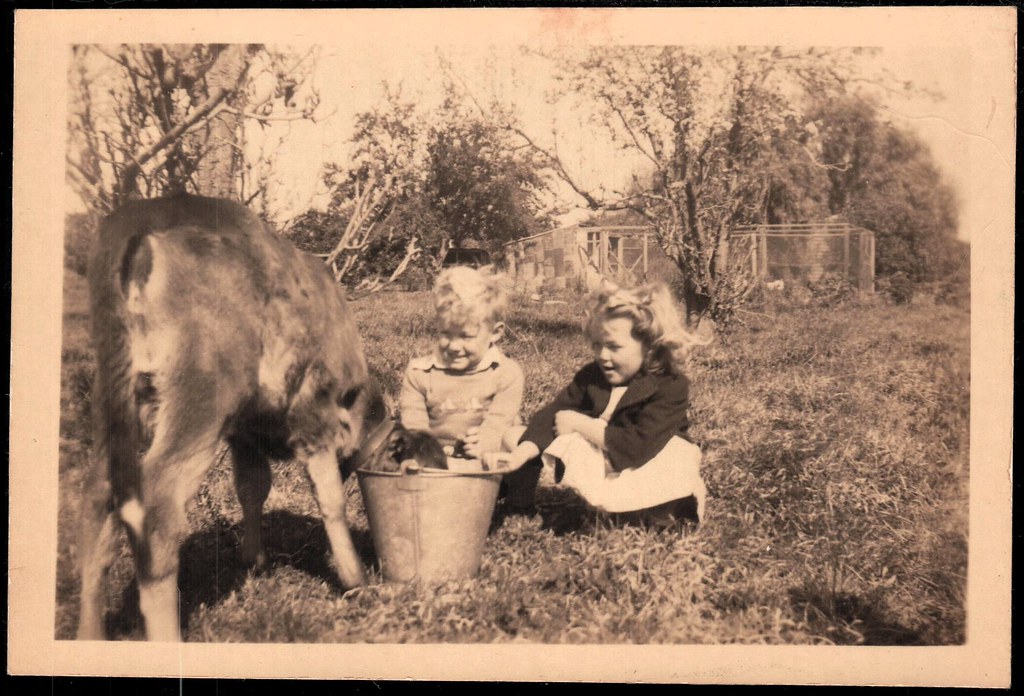 Glenda Joe Calf Stanhope joe jameson Flickr