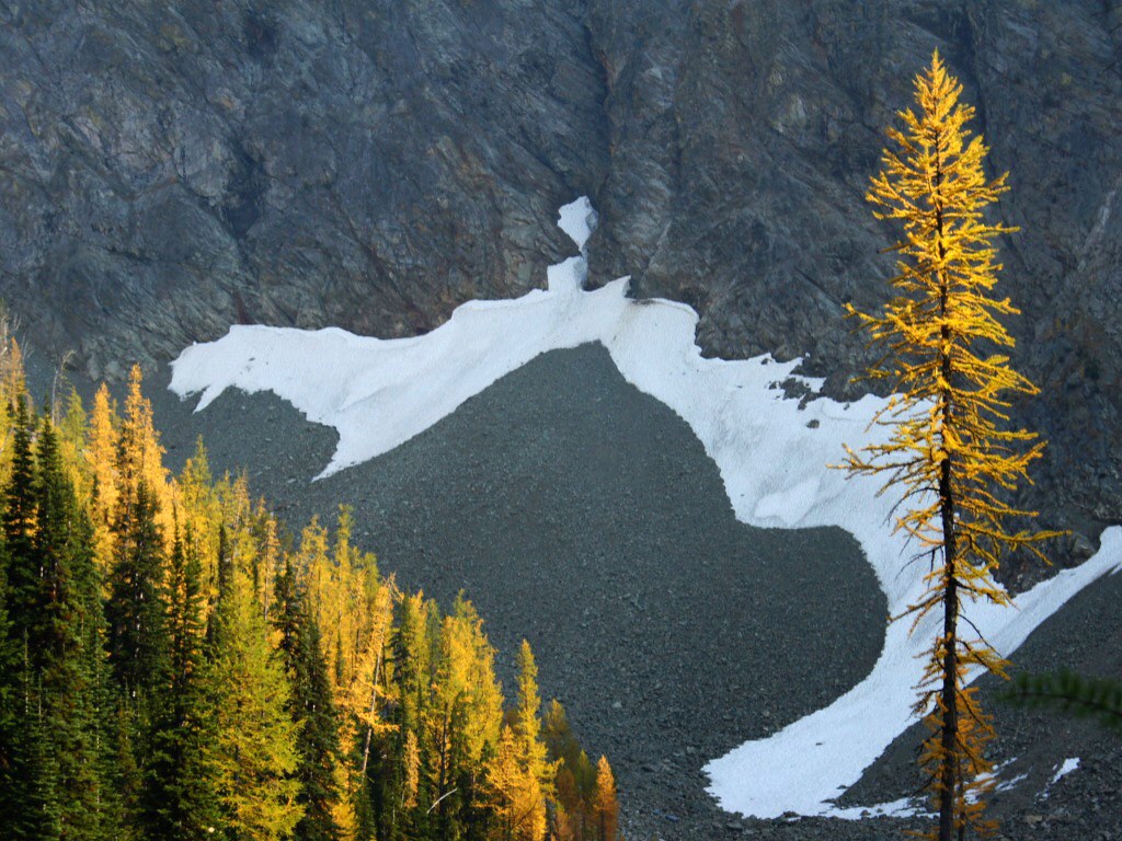 Blue Lake Larches Okanogan National Forest, WA Pacific Wanderer 태평양 과객 Flickr