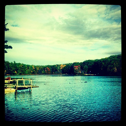 Elevation of Hastings, NY, USA Topographic Map Altitude Map