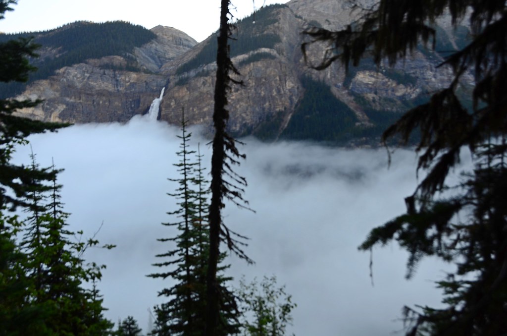 Burgess Shale Fossil Bed Yoho NP Flickr