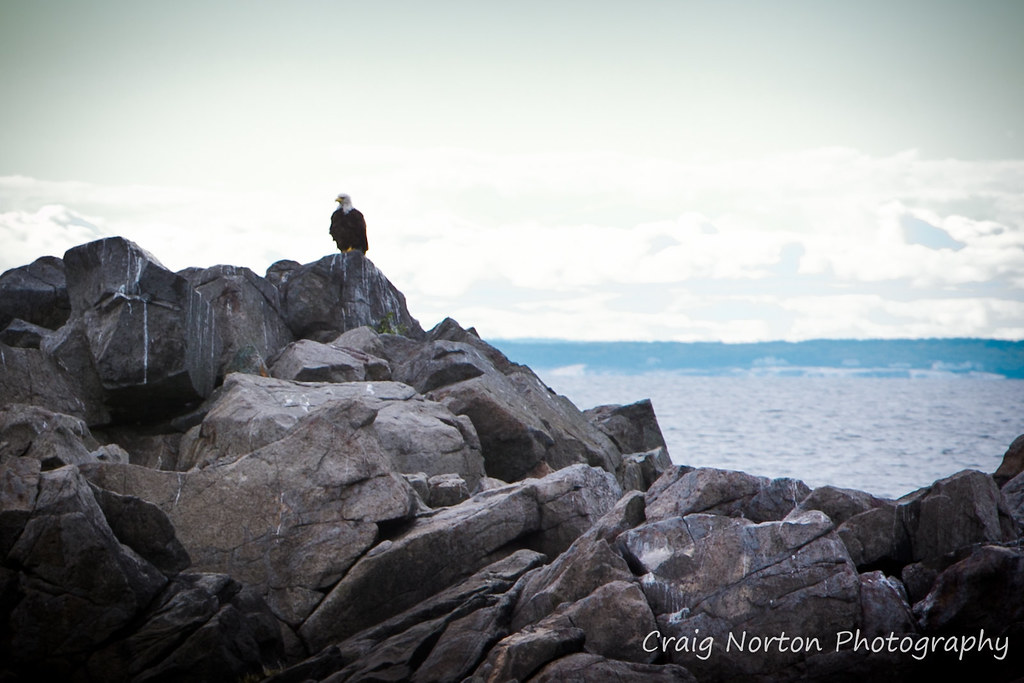 Port Clyde/Monhegan Island, Maine Flickr