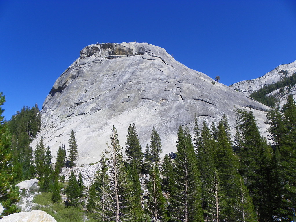 100_0775 Yosemite National Park, Tuolumne County, Californ… Flickr