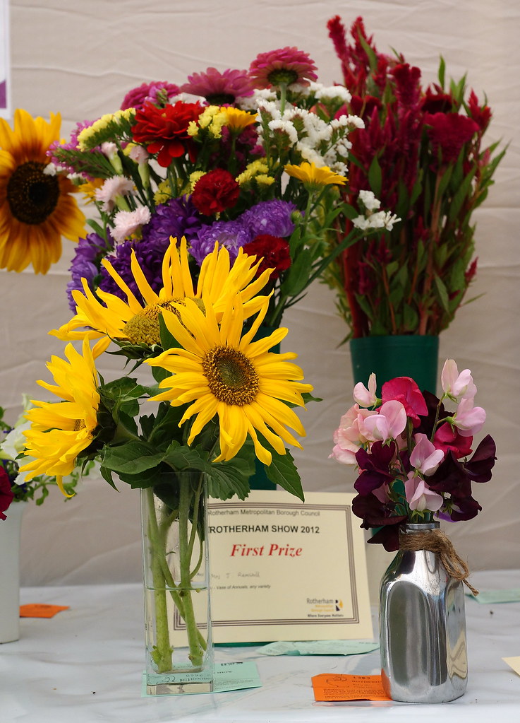 16 Flower arrangements at the Rotherham show 2012. Andy Coe Flickr