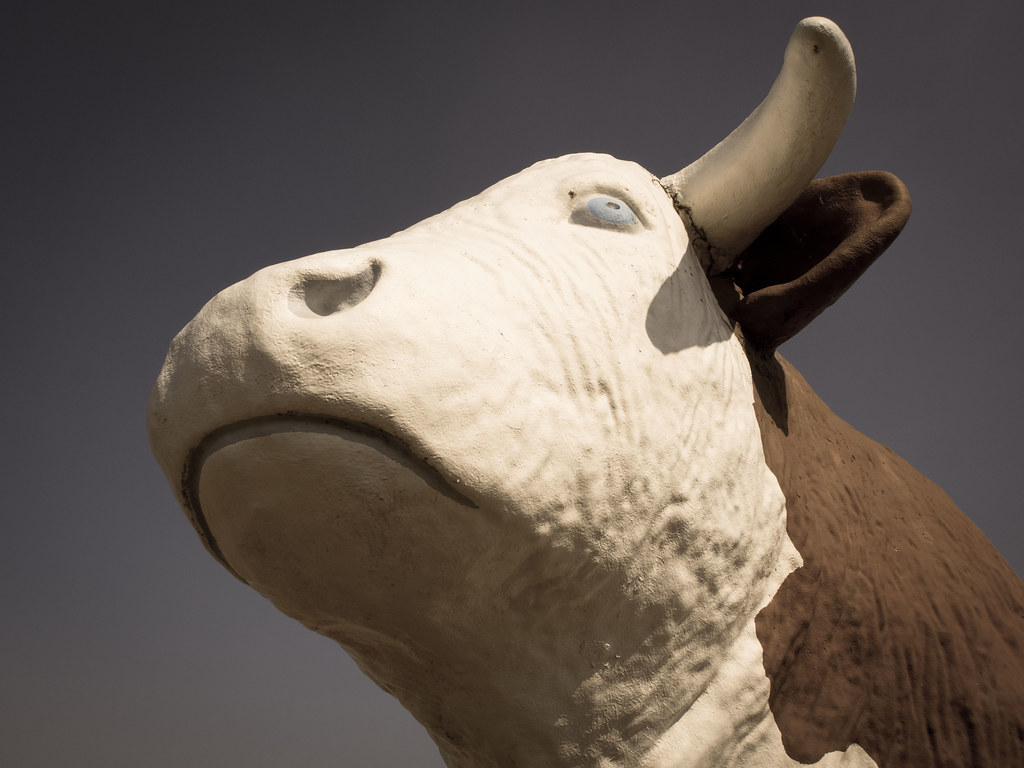 Just a big fake cow Patrick McCunney Flickr