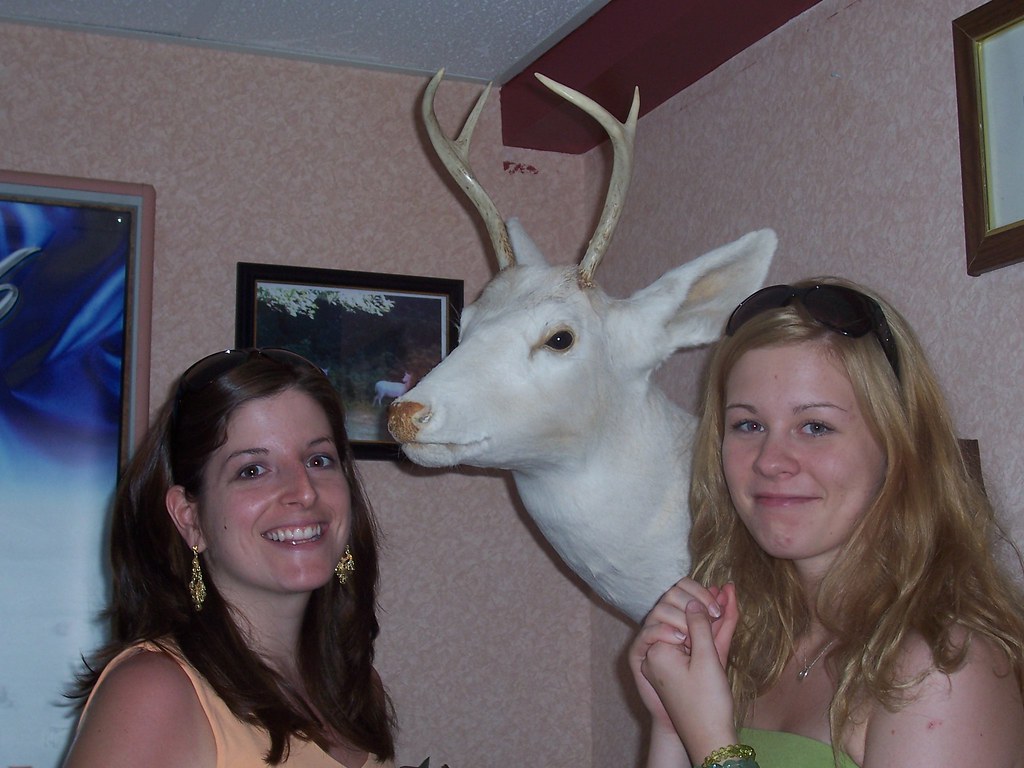 2007 0521 White Deer In Romulus NY pj Flickr