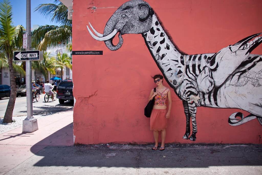 South Beach Street Art Miami Beach, FL ChrisGoldNY Flickr