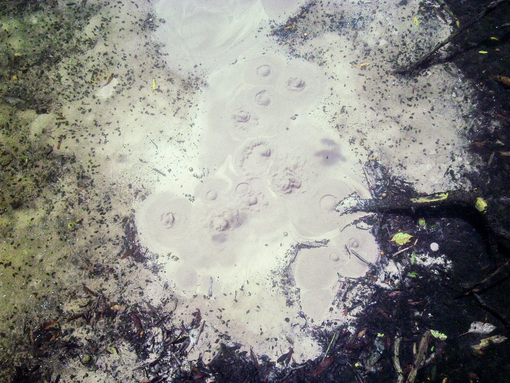 Hightower Spring Boil Crystal clear, cold, spring water se… Flickr