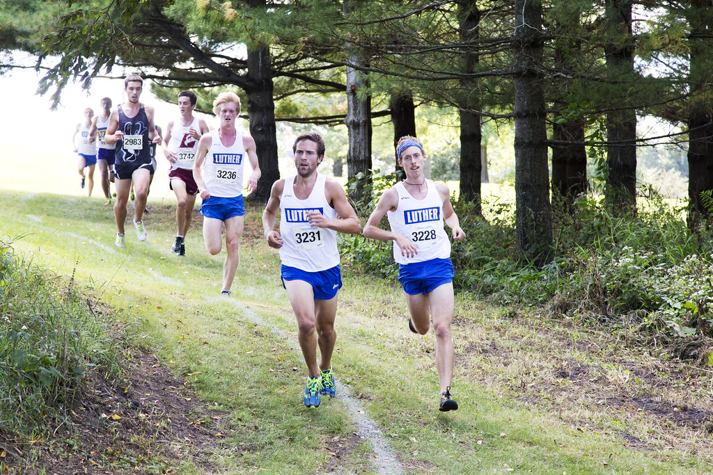 Luther College Men's Cross Country AllAmerican Meet Flickr