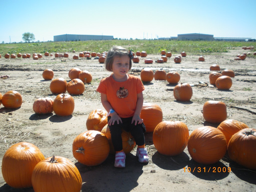 Courtney Garcia 9796456003 Dewberry Farm Flickr