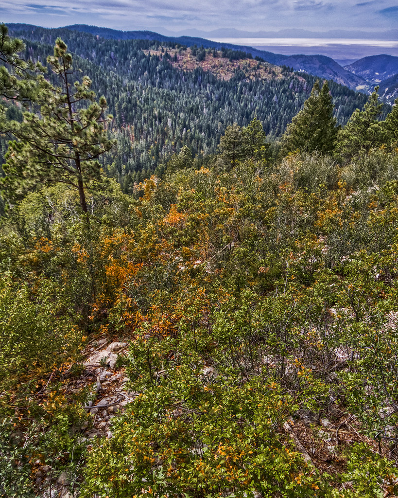 Elevation of 12 Mystery Path, Cloudcroft, NM, USA Topographic Map
