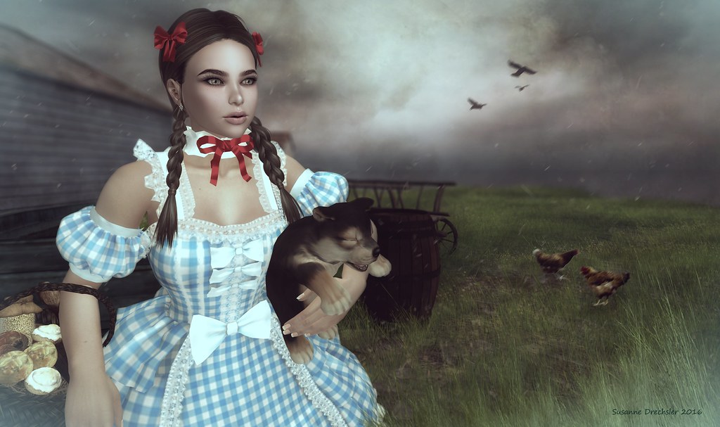 Dorothy Wizard Of Oz Hairstyle which haircut suits my face