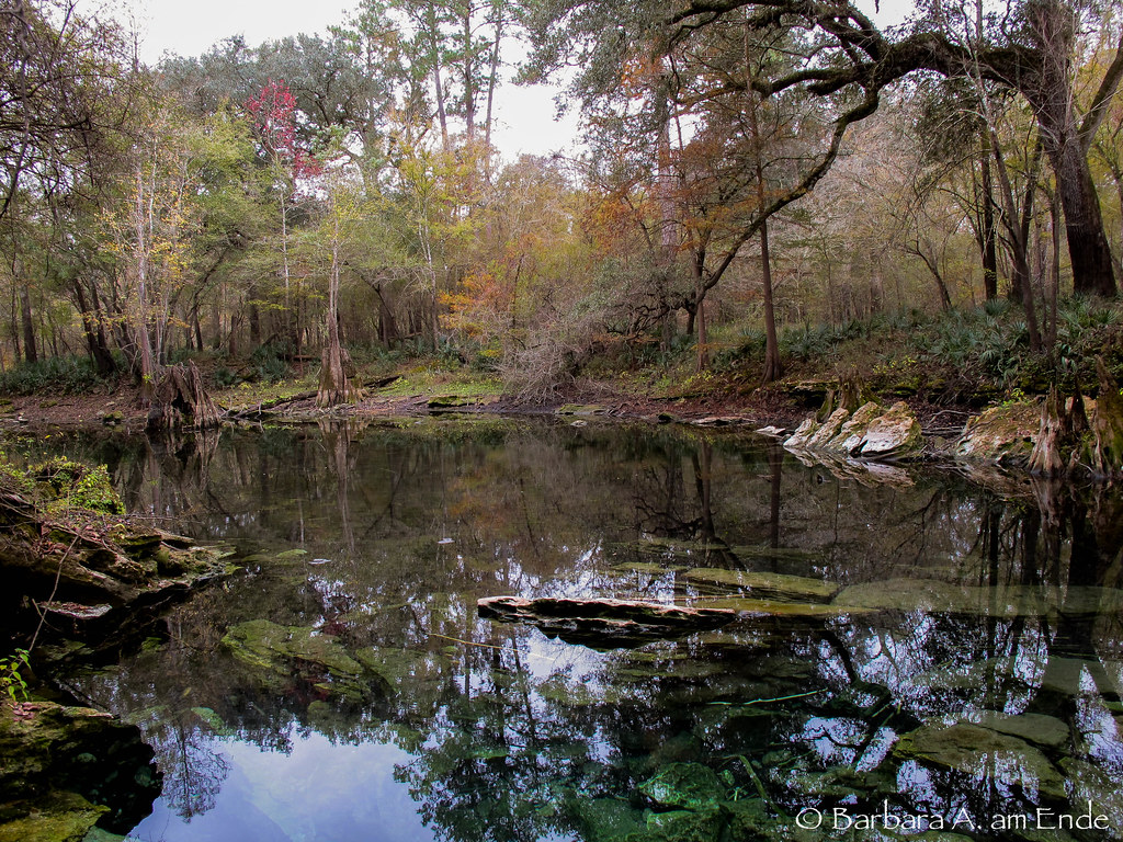Elevation of th St, McAlpin, FL, USA Topographic Map Altitude Map