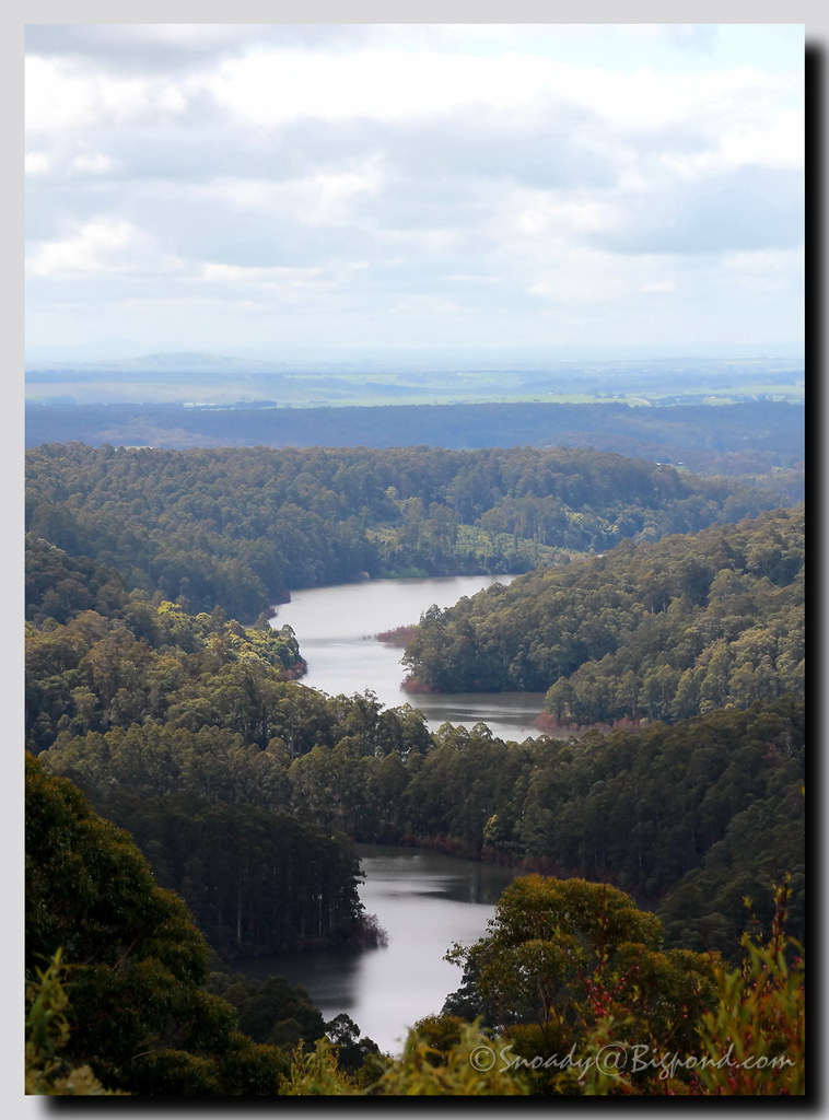 Elevation map of Colac Otway Shire, Colac Otway, VIC, Australia