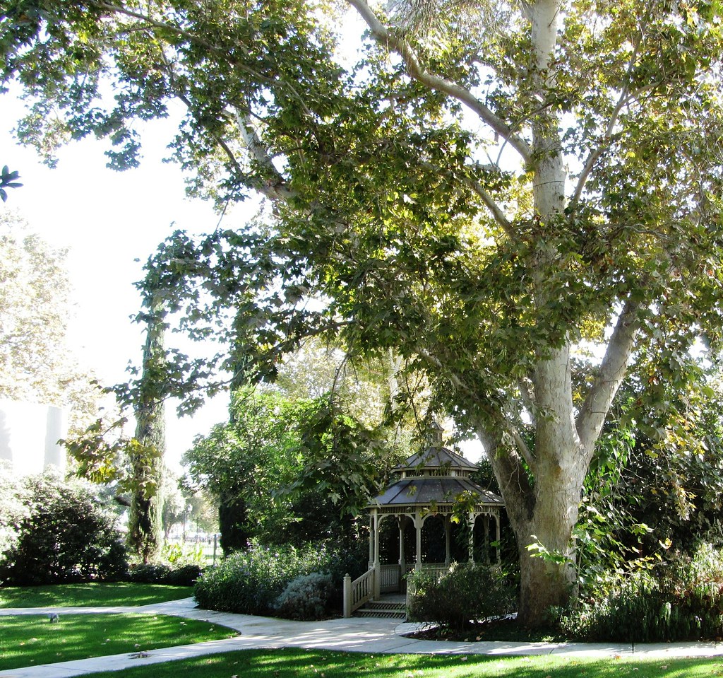 Garden At The Bakersfield Museum Of Art In 1956 the southw… Flickr