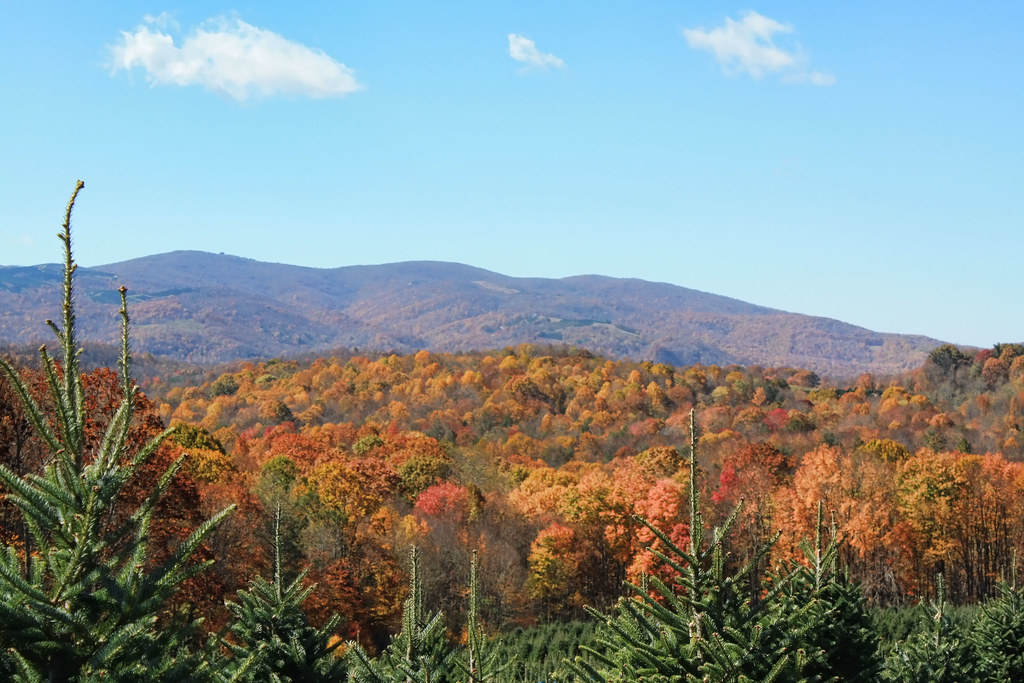 Elevation of Taylors Valley, VA, USA Topographic Map Altitude Map