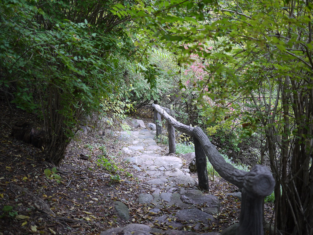 Slayton Arboretum Pathway F. D. Richards Flickr