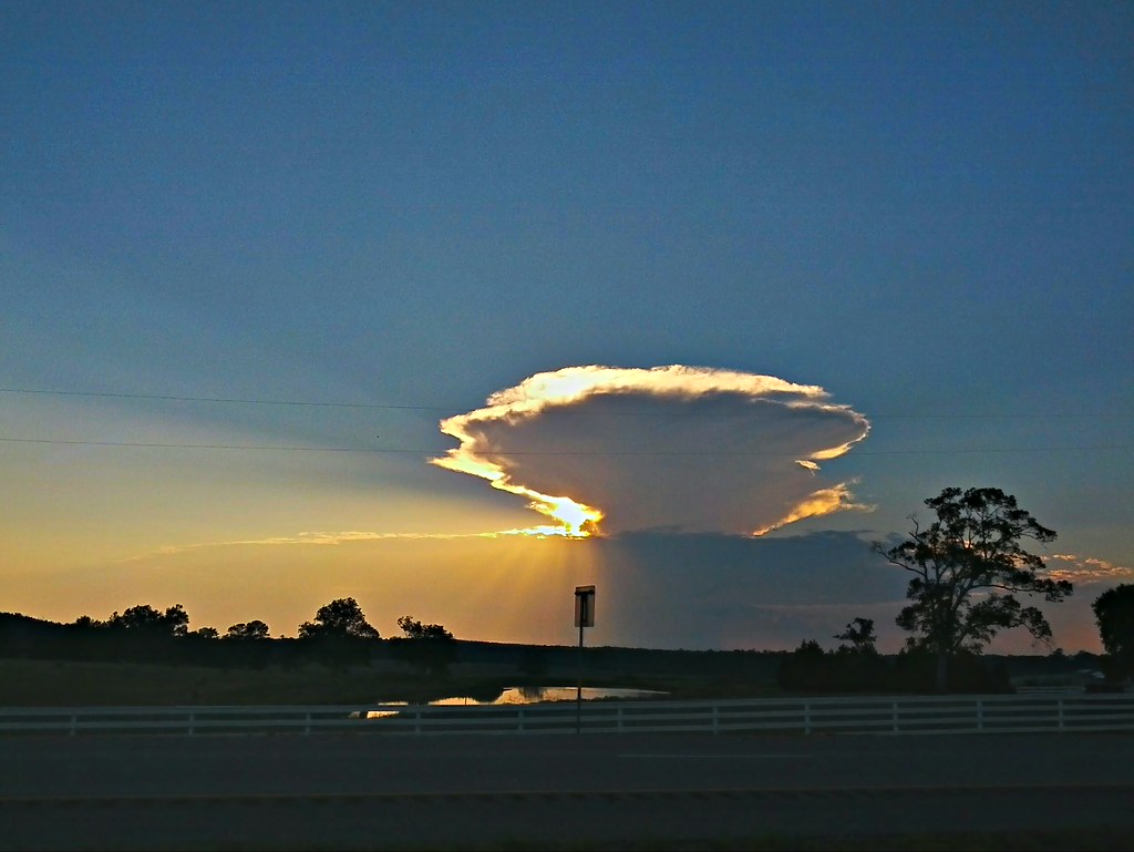 Elevation of Co Rd, Kirbyville, TX, USA Topographic Map Altitude Map