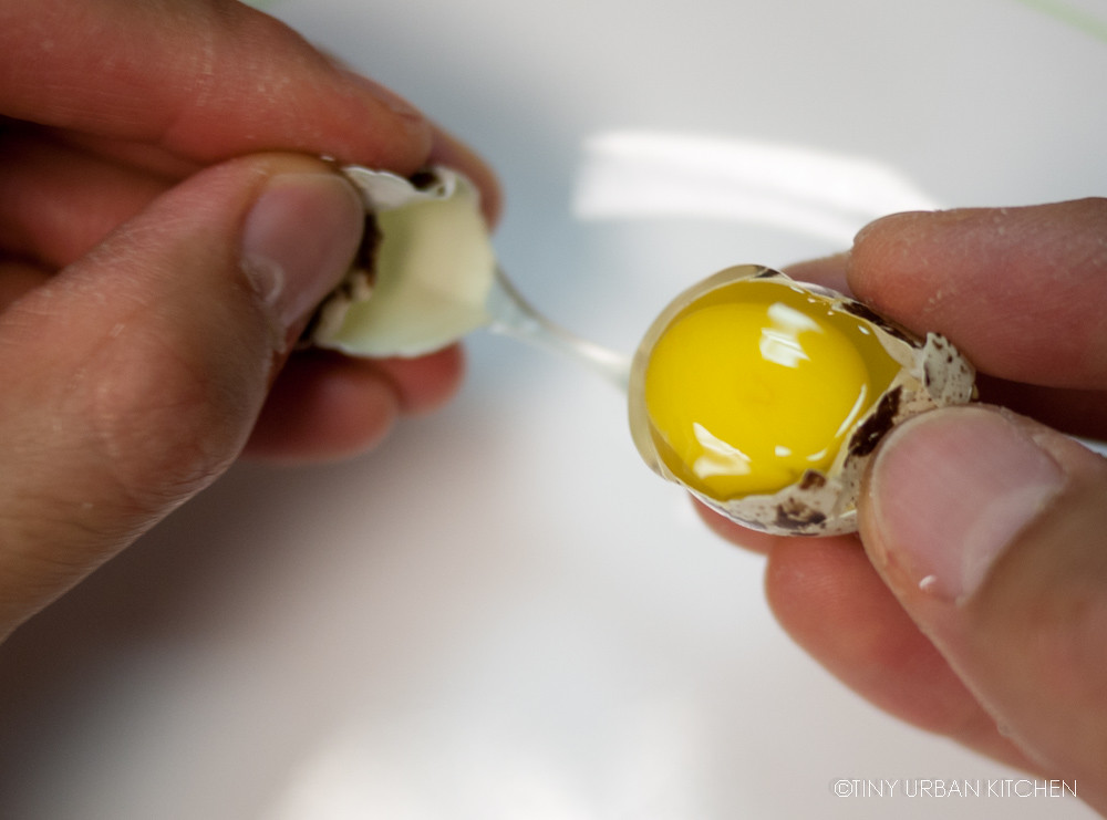 Quail Egg Tiny