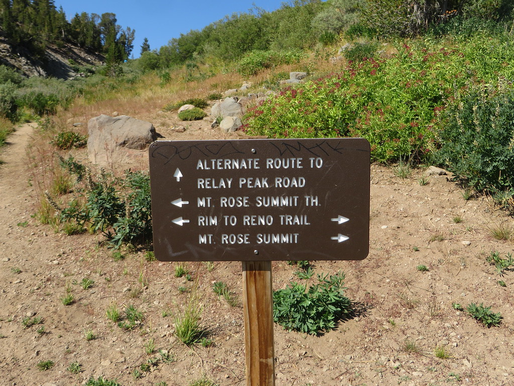 Mount Rose Summit Trail, Reno, Nevada Mount Rose is the hi… Flickr