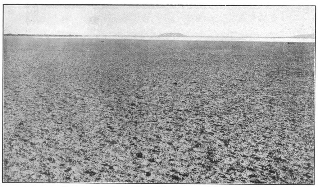 Imperial Valley CA. 1900 Caption 'Imperial Valley First … Flickr