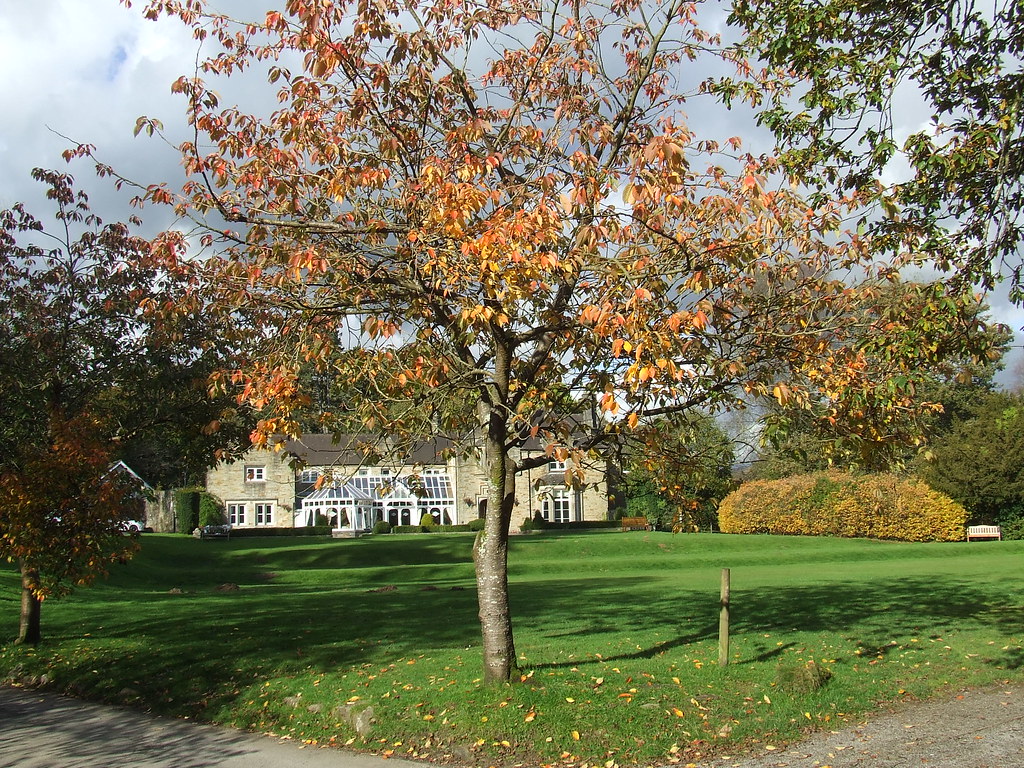 bryngarw park 20 october 001 christopher james Flickr