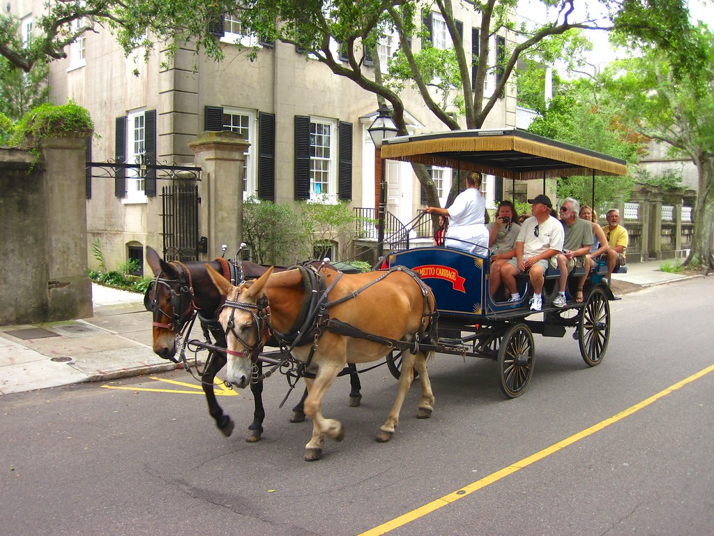 another carriage tour Another popular way to see Charlesto… Flickr