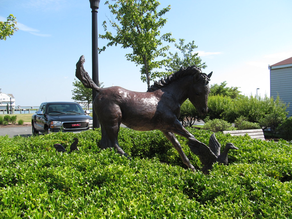 Chincoteague, Virginia Chincoteague, Virginia Flickr