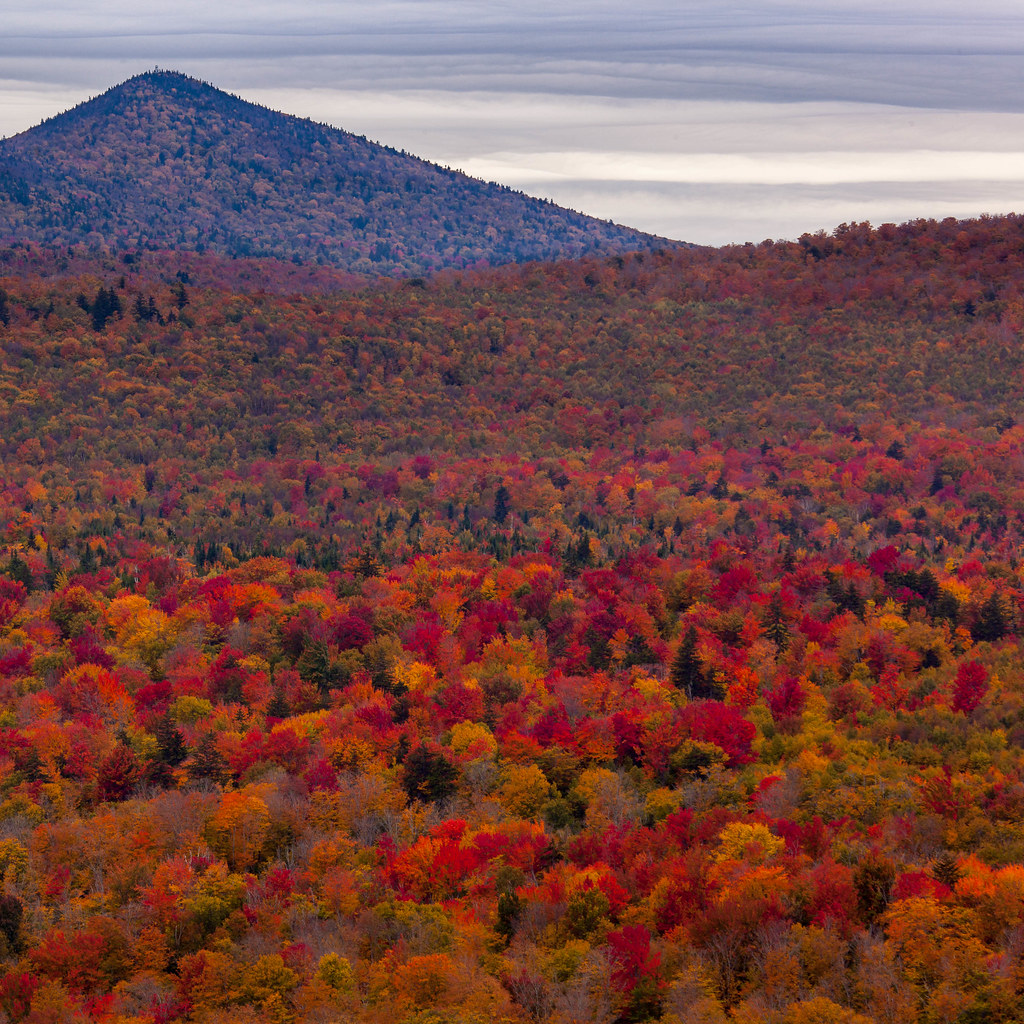 Owls Head Overlook Dave Martin Flickr