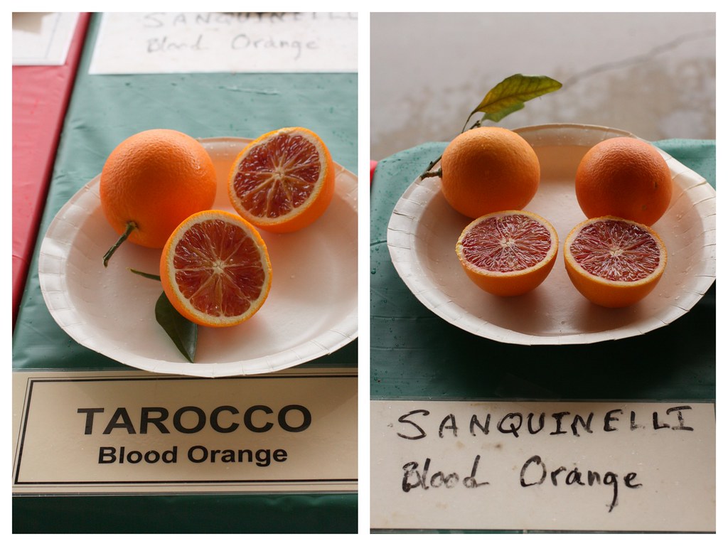 Blood Orange If you are juicing your blood oranges, the Ta… Flickr