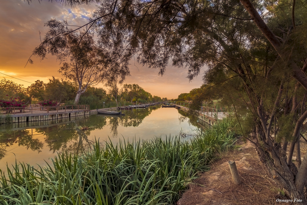 30062016_U4A8014 Jose Roca Sampedro Flickr