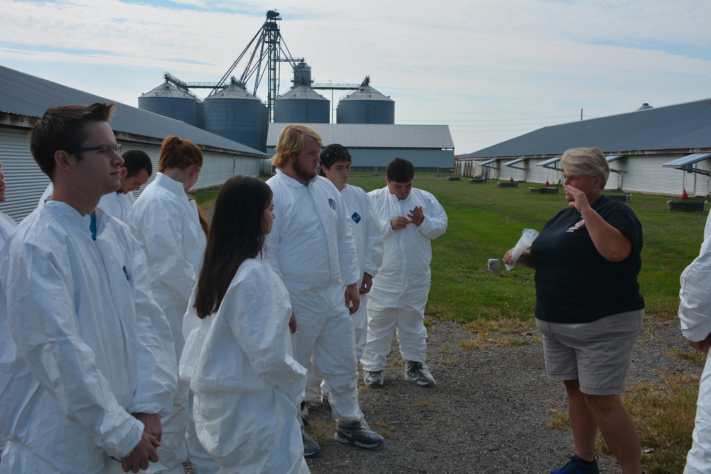 Organic poultry farm, Kent County, Delaware Cartan… Flickr