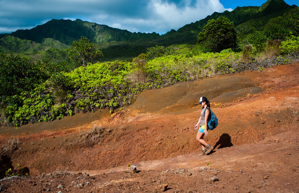 Kalaheo Hike An old service road from the 40's acts as are… Flickr