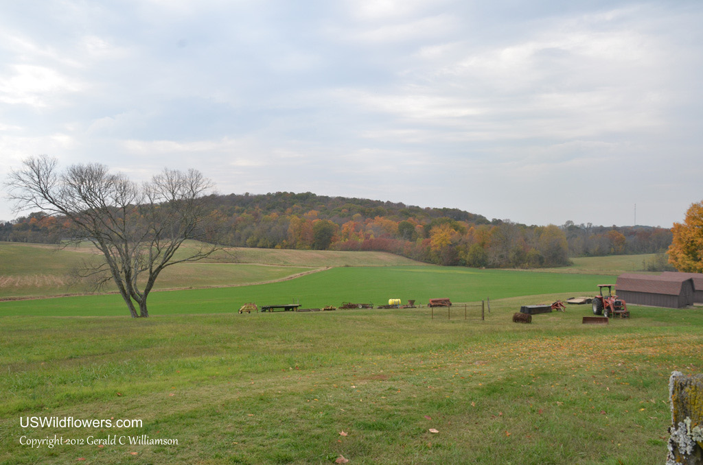 Farm in Middle Tennessee Williamson County Gerry Williamson Flickr
