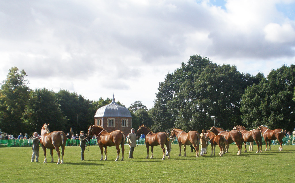 The Suffolk Horse Society Spectacular 2016 Kentwell Hall, … Flickr