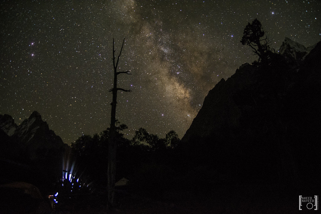 Viragoth Forest under Milky Way | Ishqoman Valley, Gilgit. #… | Flickr